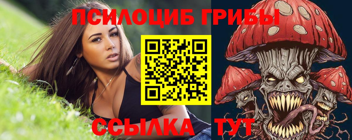 Галлюциногенные грибы ЛСД Котельники